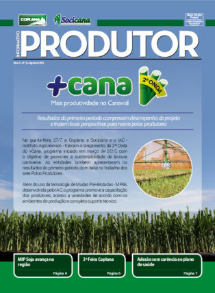 Informativo Agosto