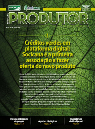 Informativo Janeiro