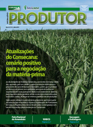 Informativo Julho