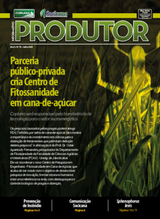 Informativo Julho