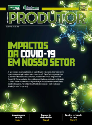 Informativo Junho
