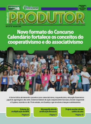 Informativo Novembro