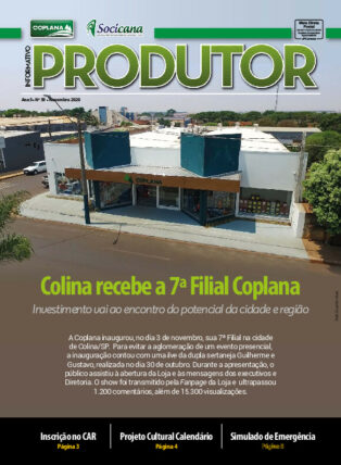 Informativo Novembro