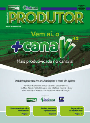 Informativo Dezembro