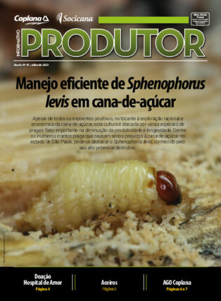 Informativo Julho