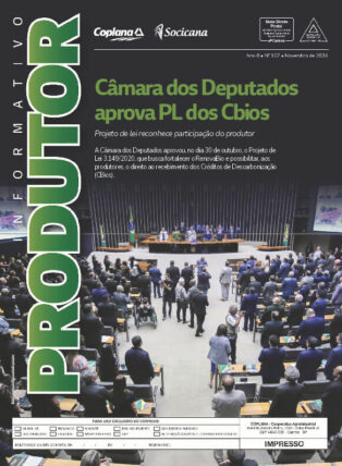 Informativo Novembro
