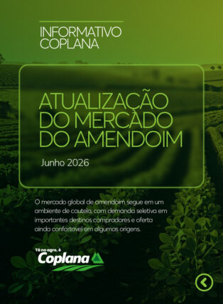 Atualização Mercado do Amendoim Junho