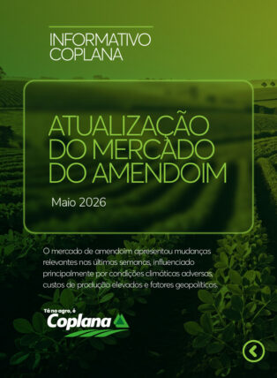 Atualização Mercado do Amendoim Maio