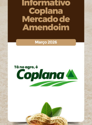 Atualização Mercado do Amendoim Março