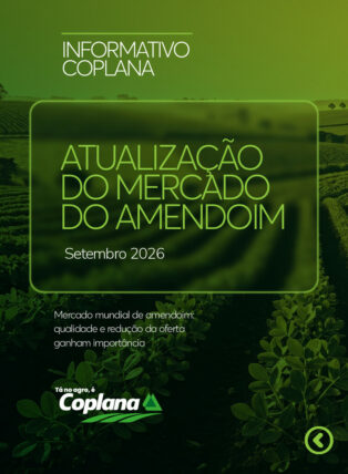 Atualização Mercado do Amendoim Setembro
