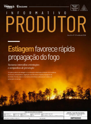 Informativo Julho