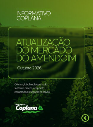 Atualização Mercado do Amendoim Outubro